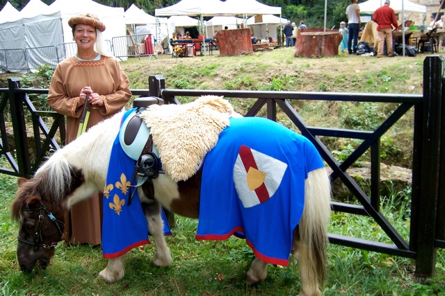 Carapacon de poney